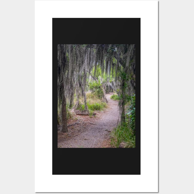 Hiking Trail in Santa Ana NWR Wall Art by Debra Martz